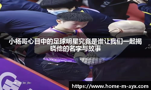 爱游戏官网